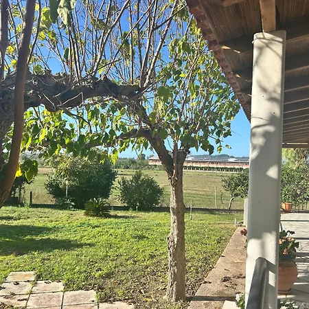 Rest & Relax House In Nyaraló