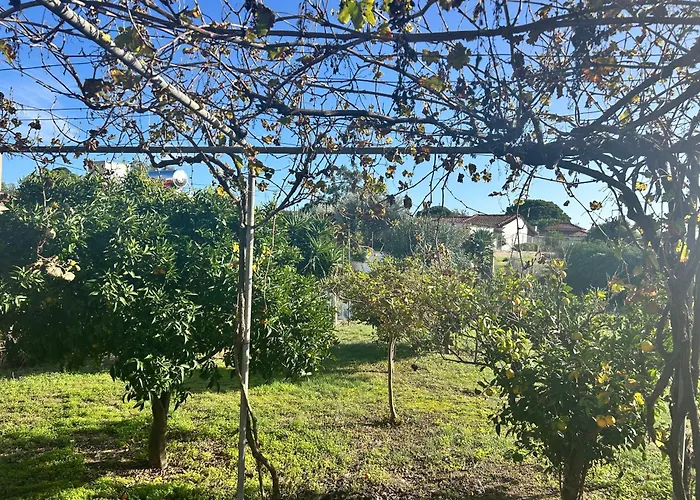 Rest & Relax House In