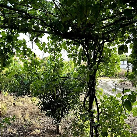 Rest & Relax House In Κατάκολο