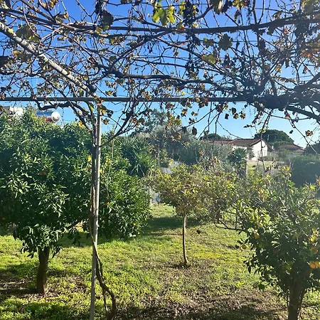 Rest & Relax House In