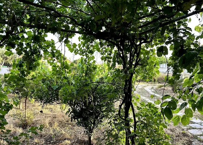 Rest & Relax House In Katakolo